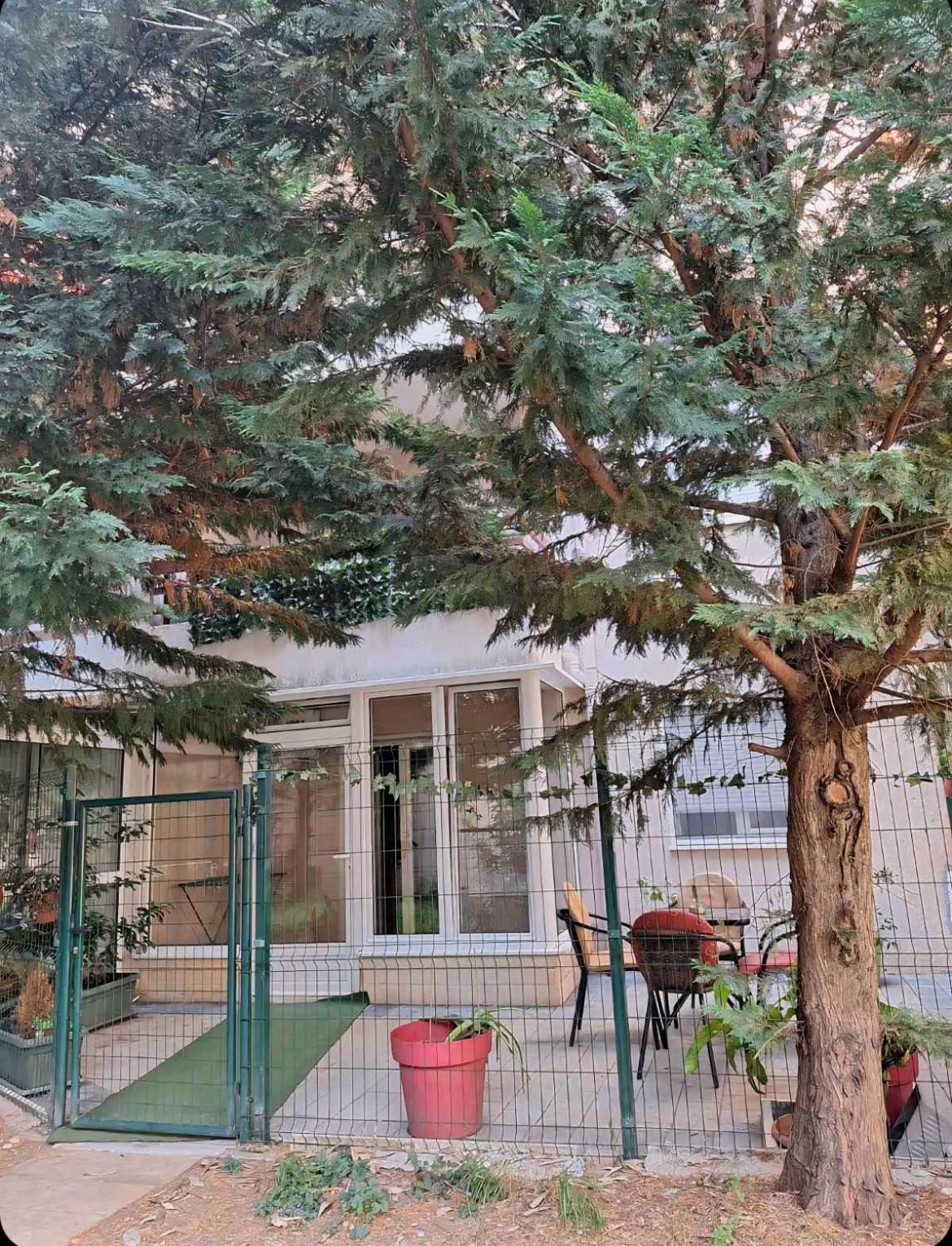 Apartments Vanja Будва Экстерьер фото